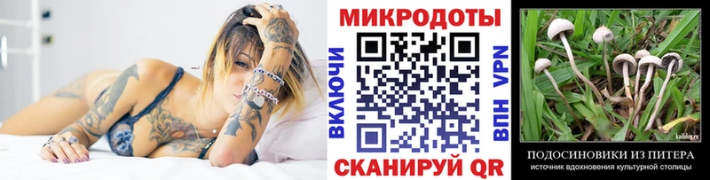 Псилоцибиновые грибы Magic Shrooms Луховицы