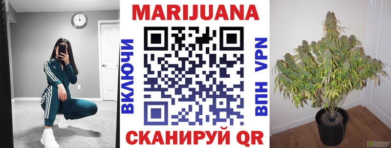 Каннабис OG Kush  Луховицы 